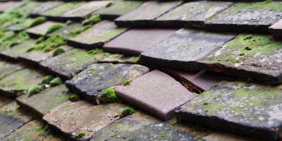 Biddisham roof repair costs